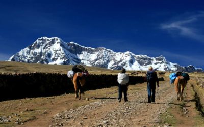 Lares Trek a Machu Picchu 4 Días
